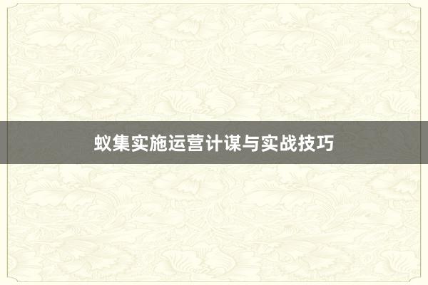 蚁集实施运营计谋与实战技巧